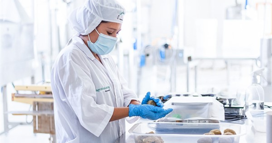 Impulsan desarrollo productivo