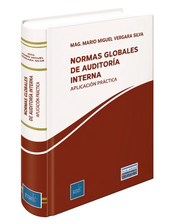 NORMAS GLOBALES DE AUDITORIA INTERNA - APLICACION PRACTICA