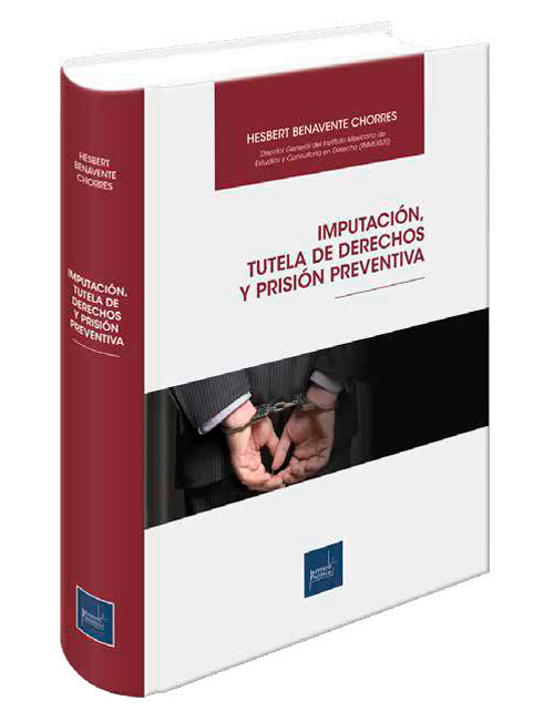 Portada de Imputación, tutela de derechos y prisión preventiva
